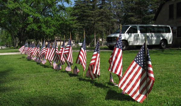 American Flags In a Row