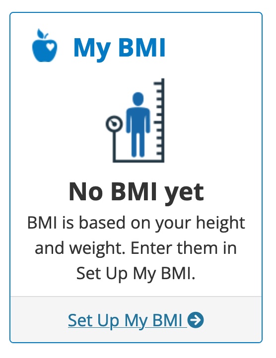 BMI Setup Guide